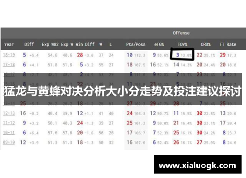 猛龙与黄蜂对决分析大小分走势及投注建议探讨